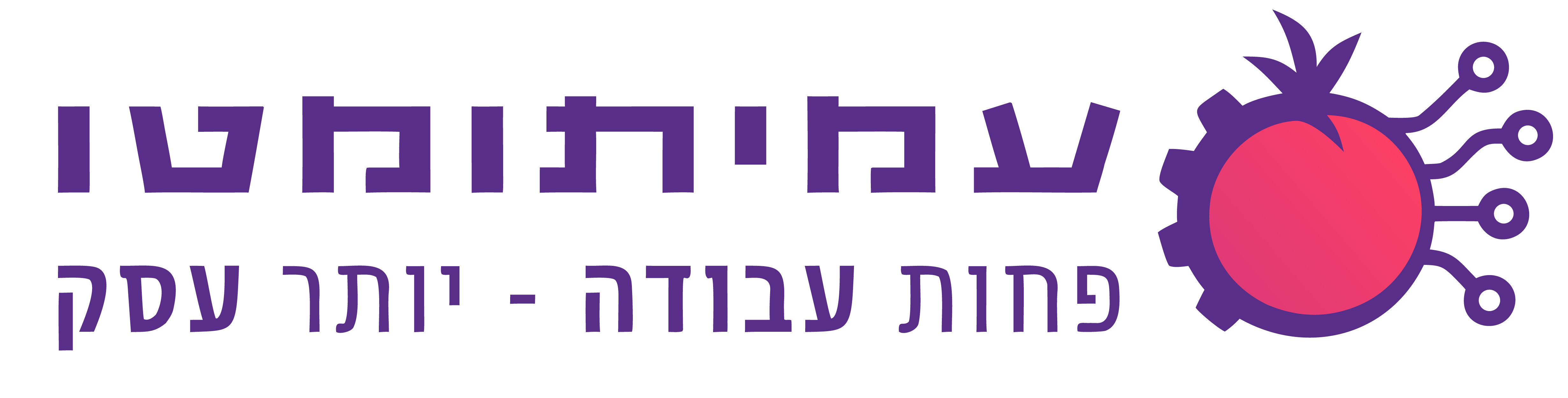 עמיתומטו